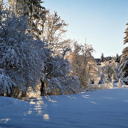 Sporthotel Gruenau - Wimmergreuth Gruenau im Almtal Exterior photo